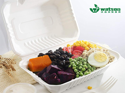 一次性外賣快餐盒批發(fā) 一次性外賣快餐盒批發(fā)